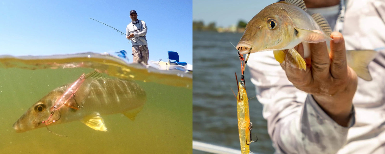 Our Best Whiting Lure - The Jackson Ebi Panic