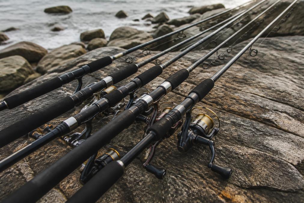 Best Fishing Rod Brands in Australia: 2026 Buyer's Guide