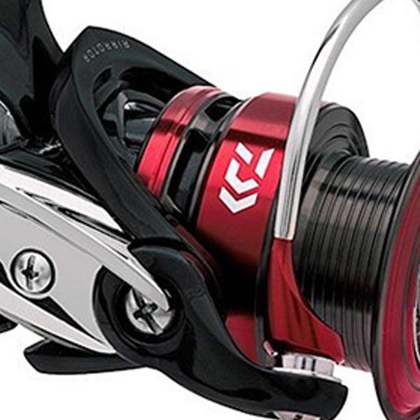 Save BIG On This Reel!