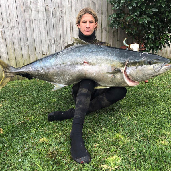 Sydney & Wollongong Fishing Report