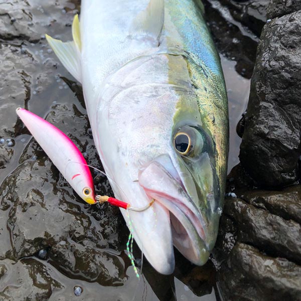 The Magic Of Assist Hooks