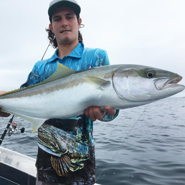 Sydney & Wollongong Fishing Report