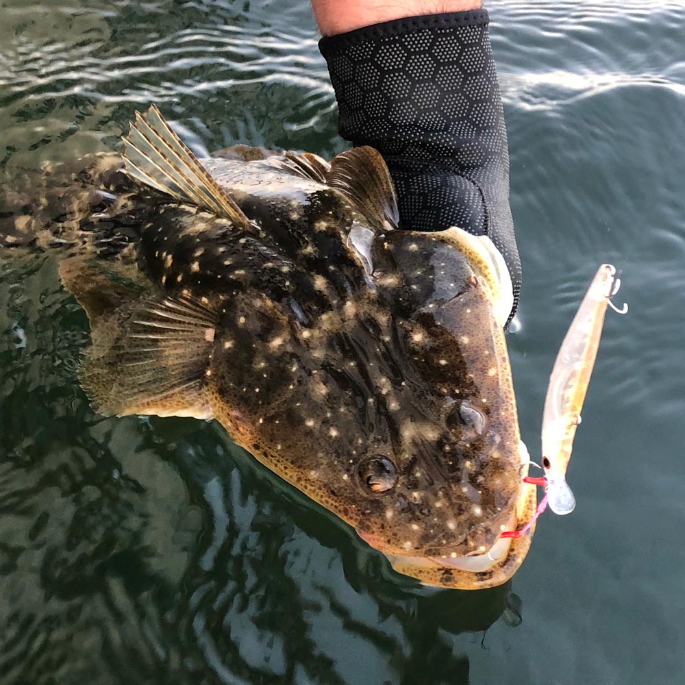 Jackson Artist FR Lure with a flathead