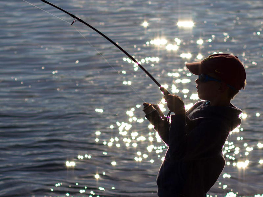 The Best Lure For Kids Banner Image