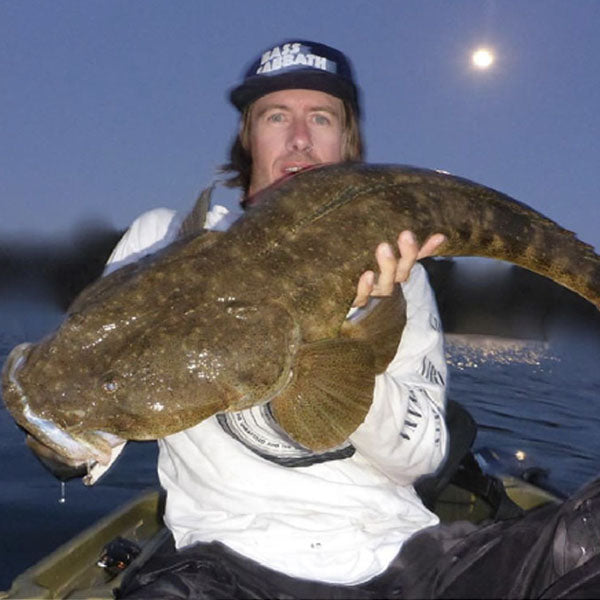 Sydney & Wollongong Fishing Report