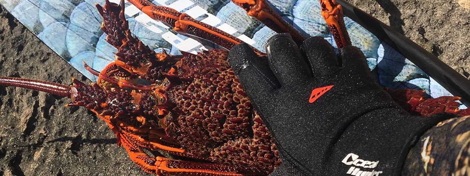 Dive Gloves