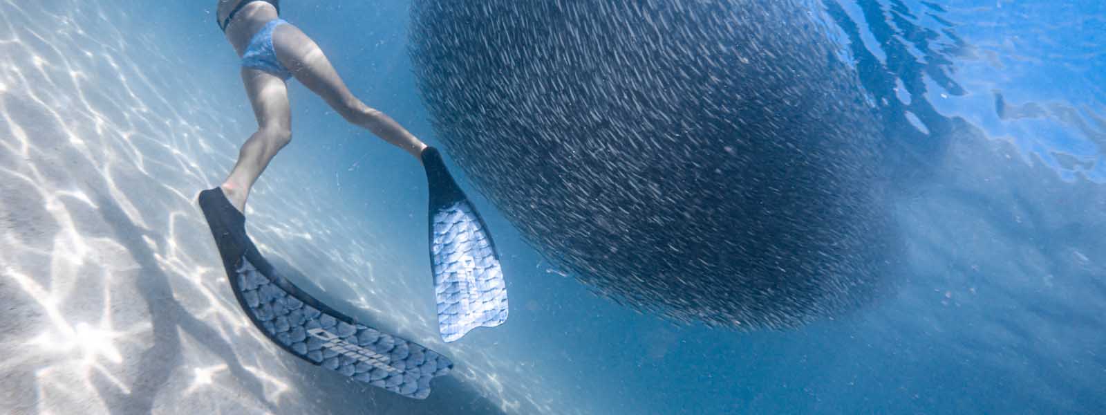 Diving Fins