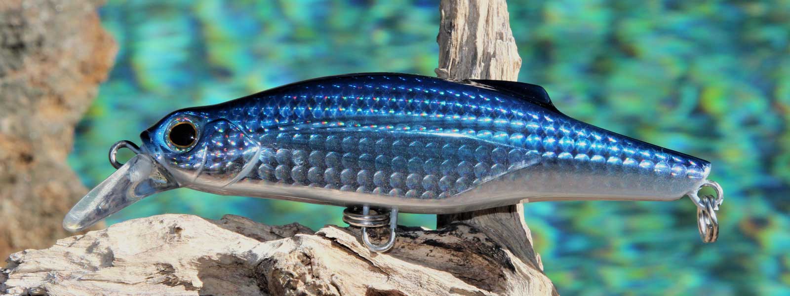Fishing Lures