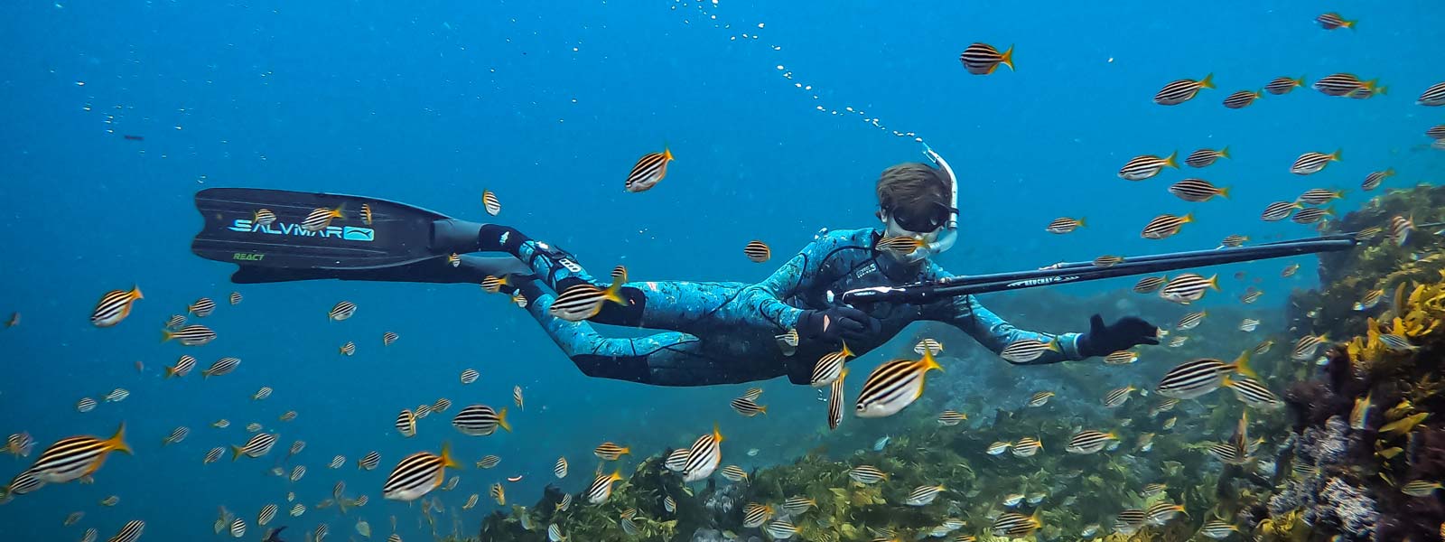 Spearfishing & Dive New Arrivals