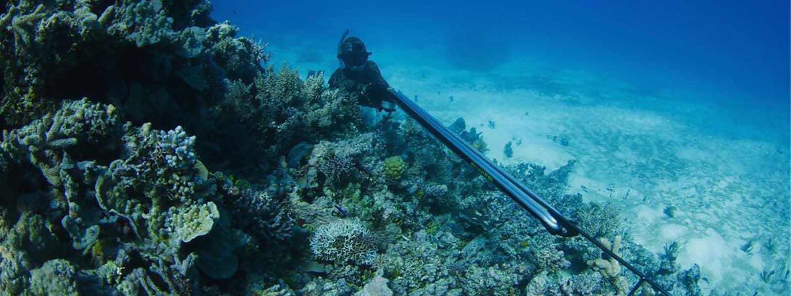 Spearguns