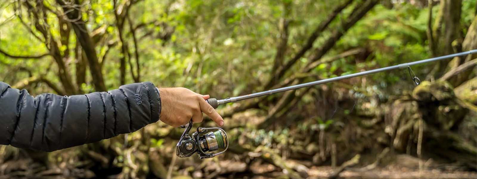 Spinning Rods