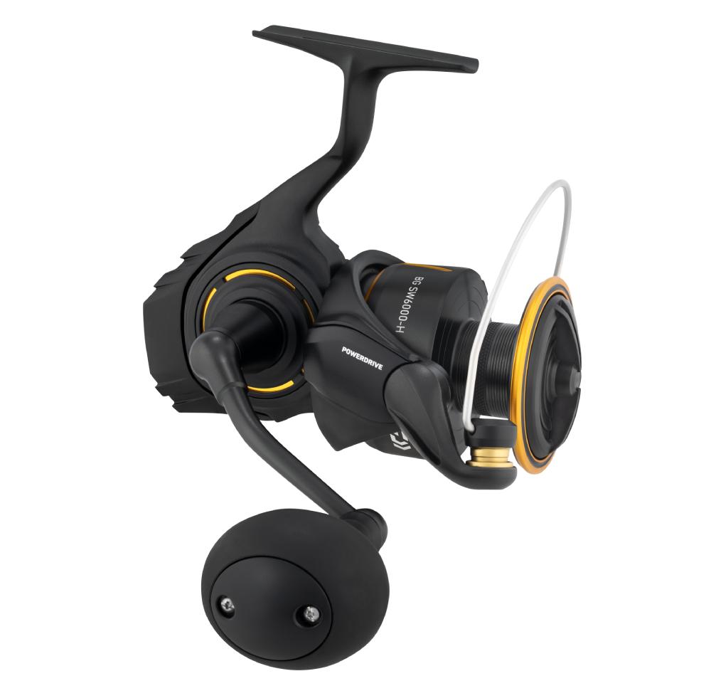Daiwa BG SW Reel
