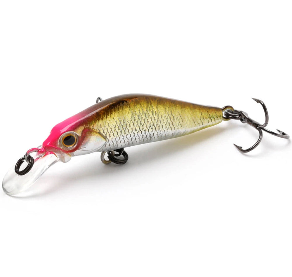 Jackson Kanade Sinking Lures