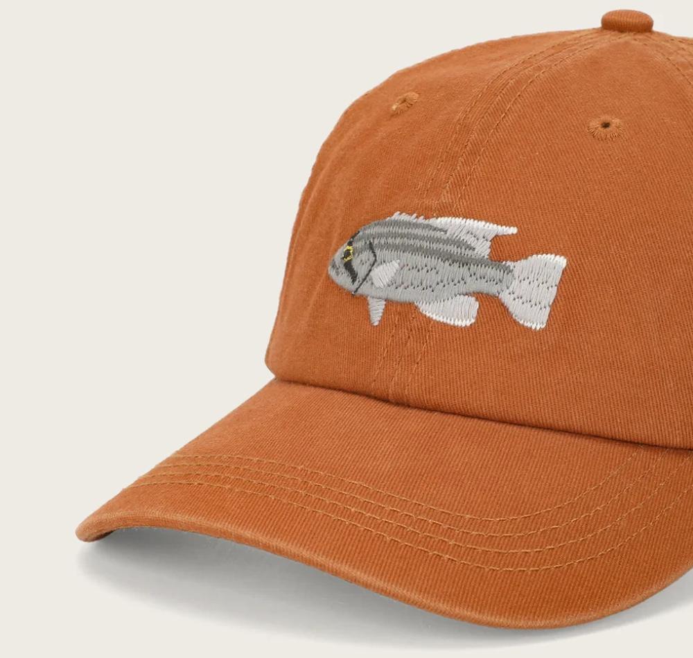 Pallion Point Fish Lids Dhufish