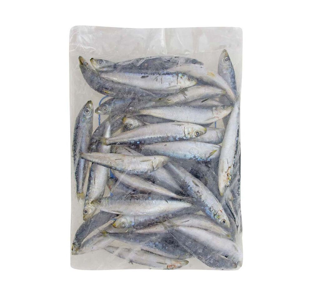 Tweed Bait IQF Pilchards