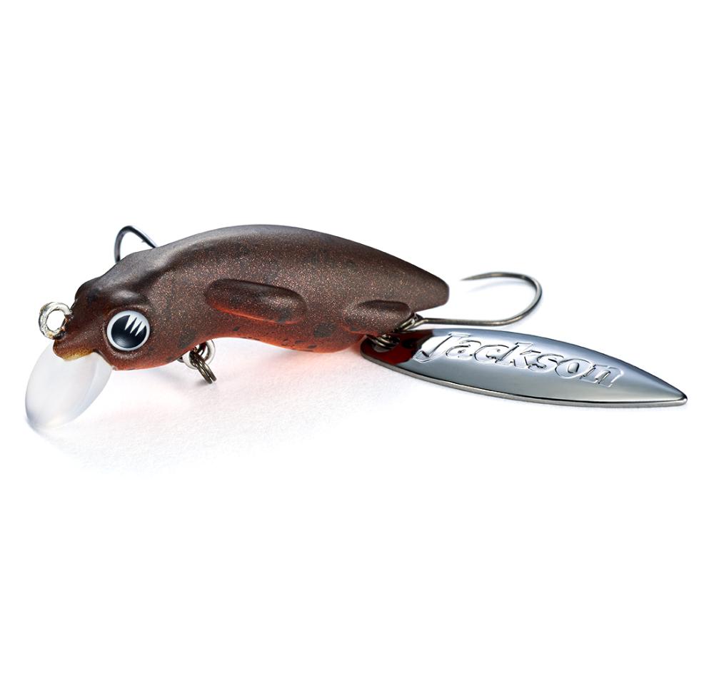 Jackson Salamander X
