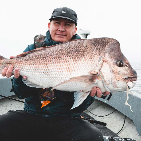 Snapper with a Daiwa Bait Junkie Wave Minnow lure in its mouth