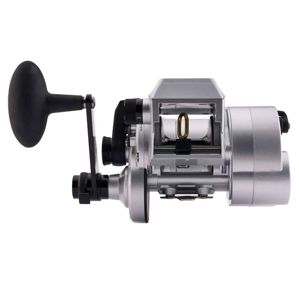 Penn Fathom 30 Electric Reel