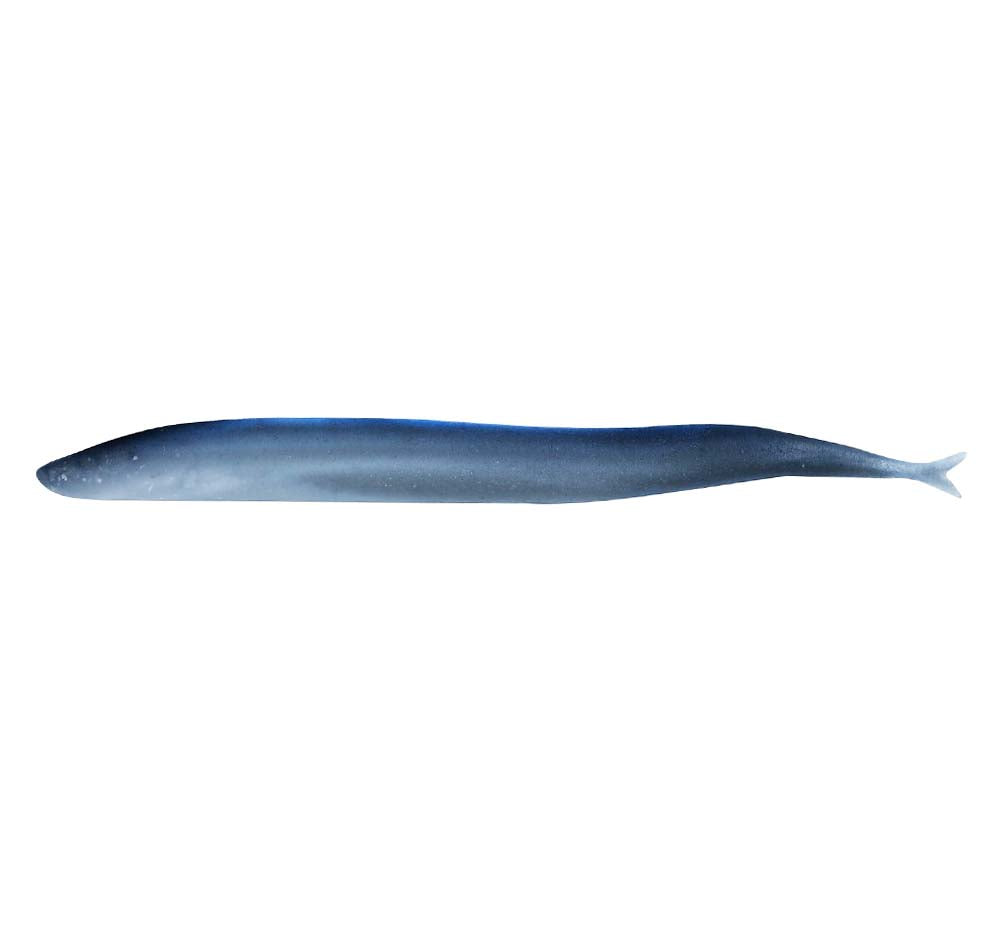 Berkley Gulp Sand Eel 4&quot; Soft Plastics