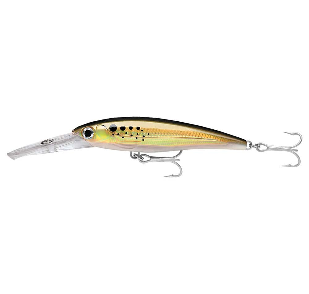 Rapala X-Rap Magnum 10 Bunker