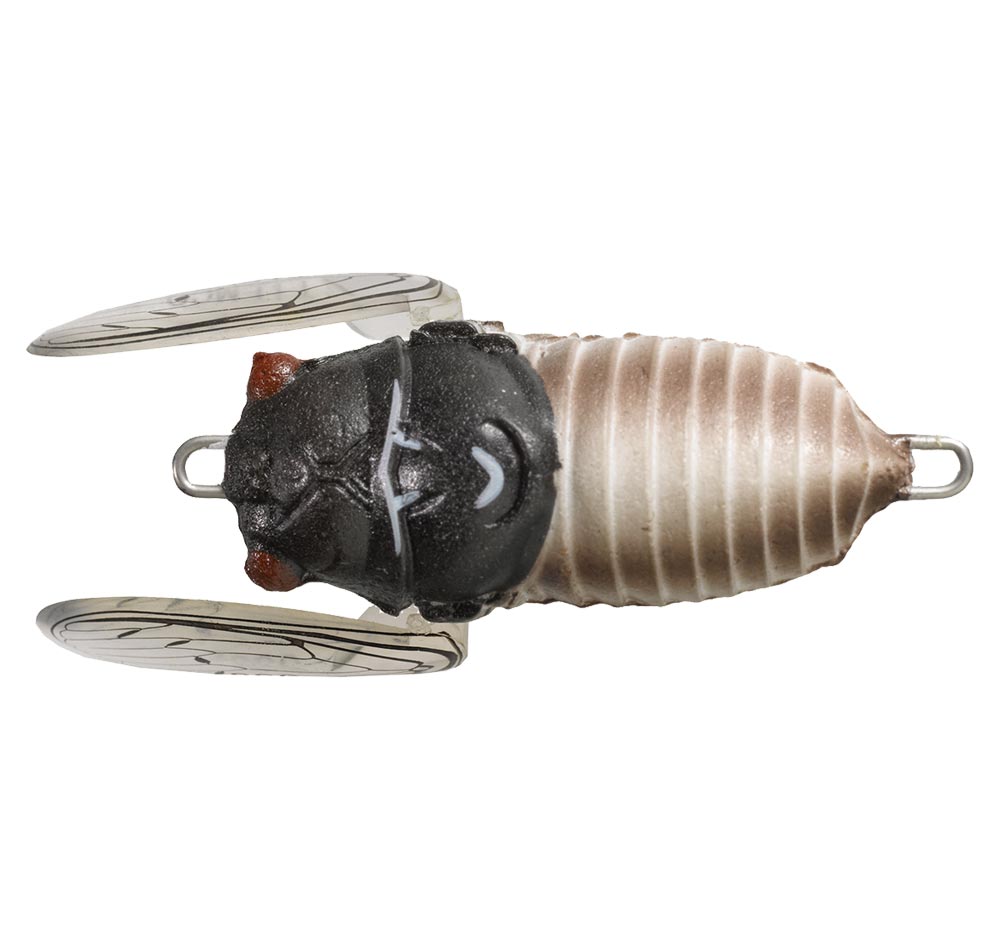 Tiemco 40mm Soft Shell Cicada Lure - Fergo's Tackle World